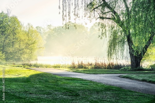 Fototapeta Naklejka Na Ścianę i Meble -  Serene park landscape with a path, lush green trees, and morning mist