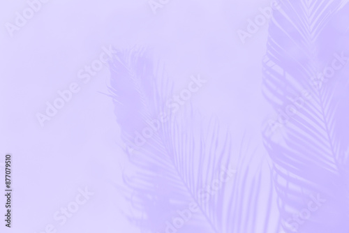 Abstract purple Summer concept background, Coconut leaves pattern on purple background
