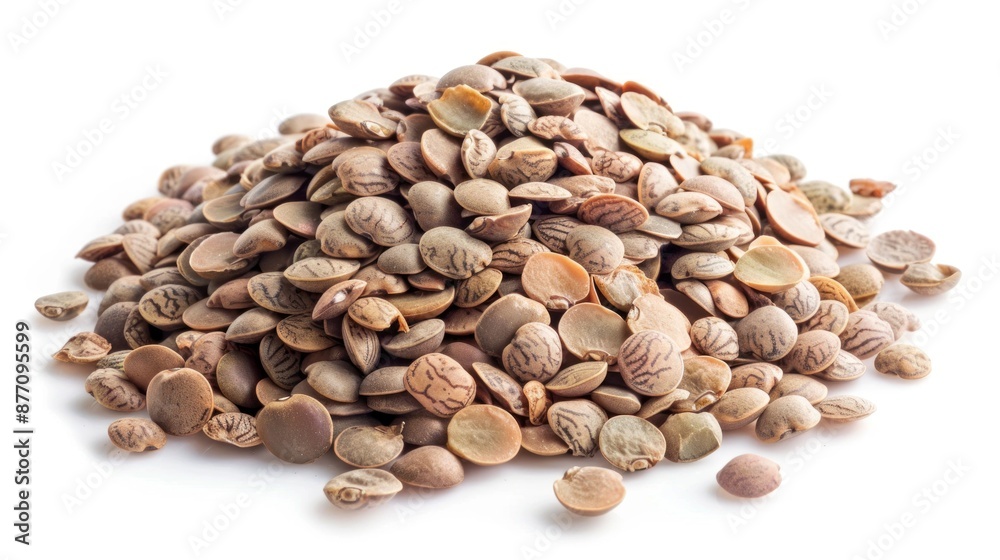 Lentil on white background , Lentil on white background ,