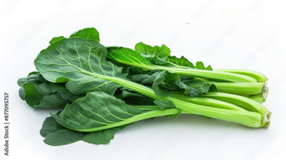 Gai Lan (Chinese Broccoli) on white background , Gai Lan (Chinese Broccoli) on white background ,