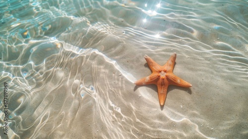 A vibrant orange starfish lies on the pristine sandy seabed, with crystal-clear water gently rippling over it, creating mesmerizing reflections on the sand's surface. photo