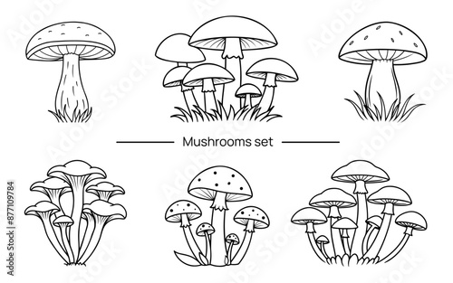 Vector set of mushrooms in line art style, doodle