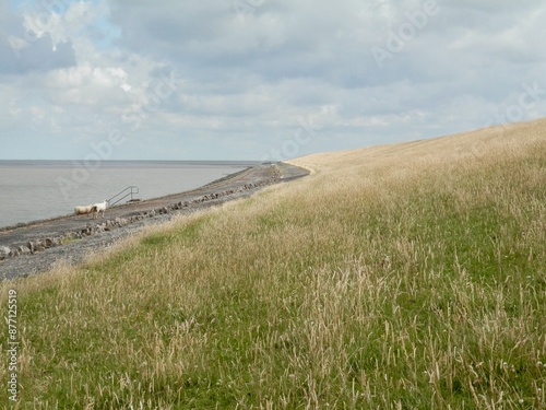 Ein Spaziergang von Utersum nach Dunsum auf der Insel Föhr in der Nordsee an einem windigen Tag photo