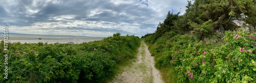 Papier peint Ein Spaziergang von Utersum nach Dunsum auf der Insel Föhr in der Nordsee an ein