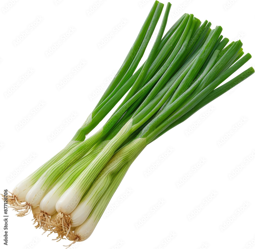 A bunch of fresh green onions, ready to be used in cooking. A bunch of fresh green onions, ready to be used in cooking.