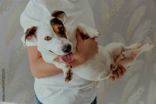 Man holding a funny Jack Russell Terrier puppy in his hands photo