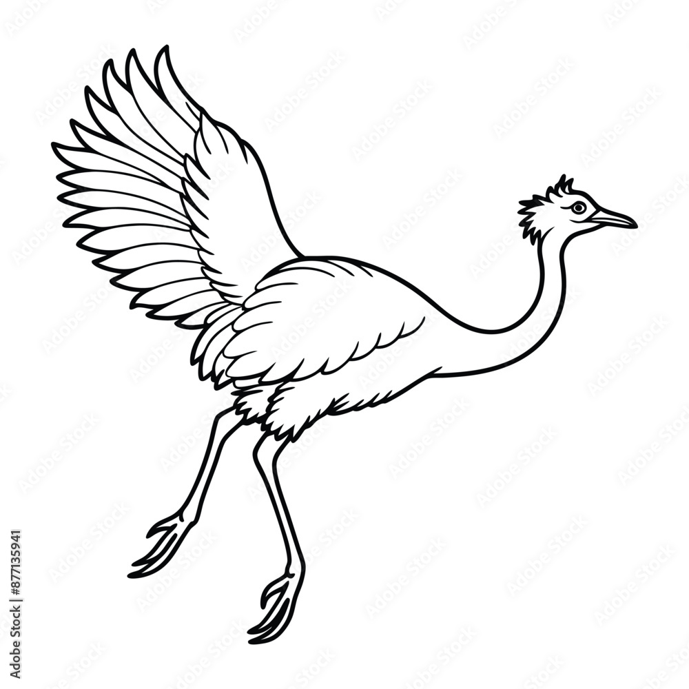 Sketch of Emu. Hand drawn vector illustration. Sketch of Emu. Hand drawn vector illustration.