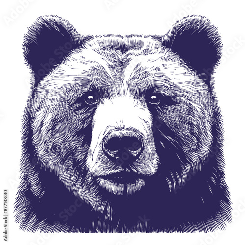 bear vector, bear silhouette