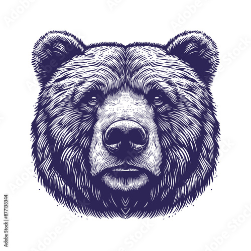bear vector, bear silhouette