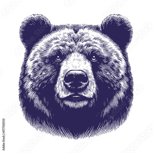 bear vector, bear silhouette
