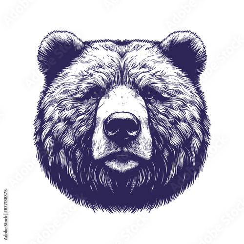 bear vector, bear silhouette