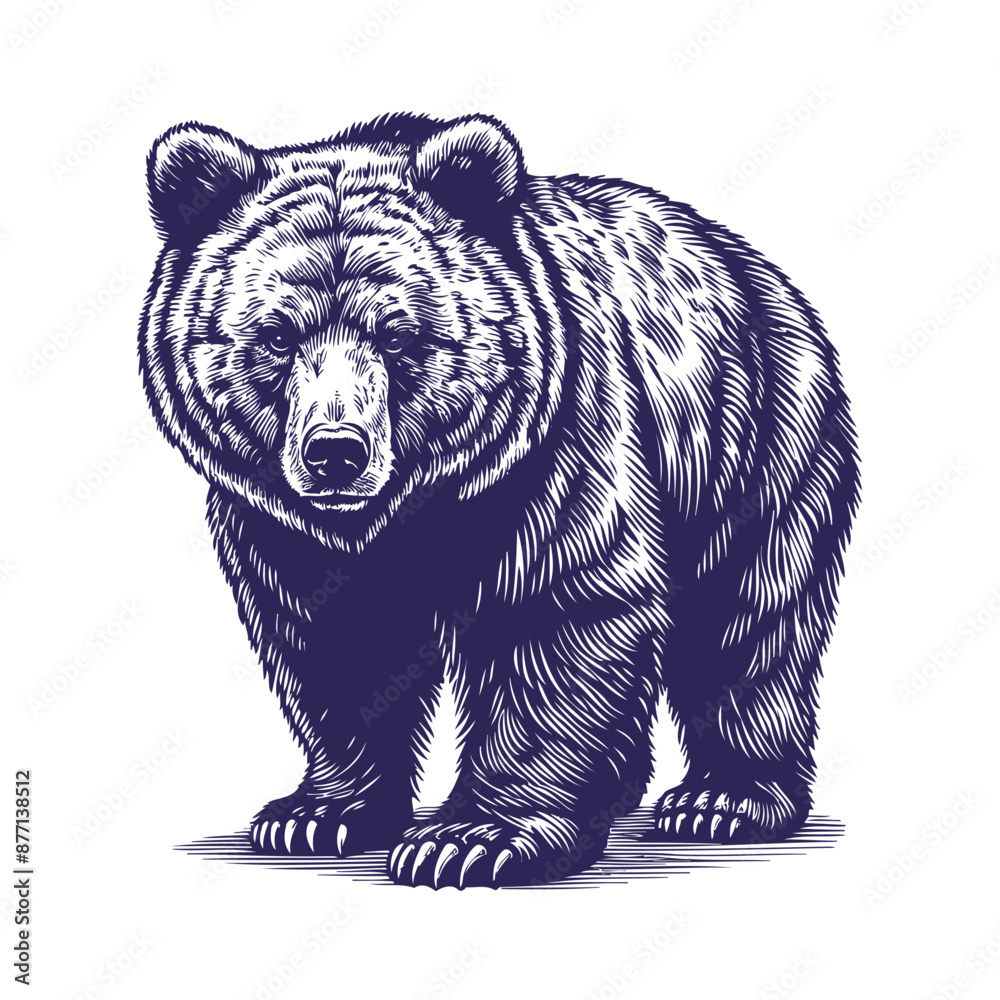 Obraz premium bear vector, bear silhouette