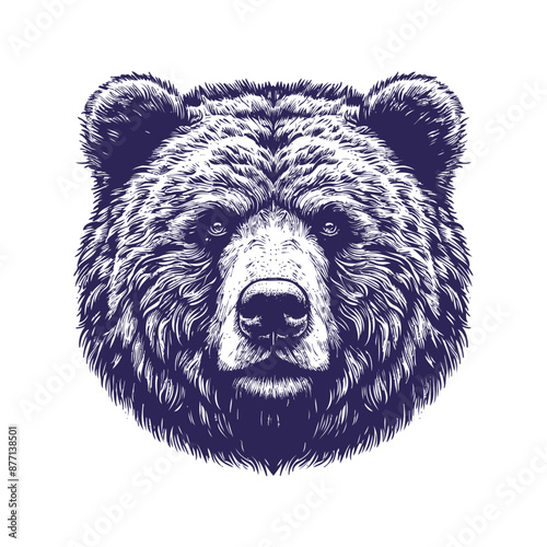 bear vector, bear silhouette
