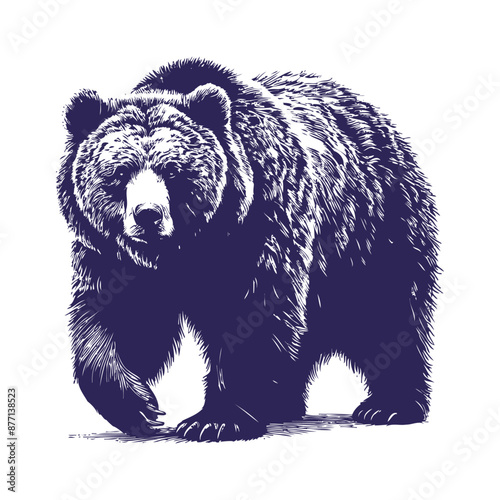 bear vector, bear silhouette