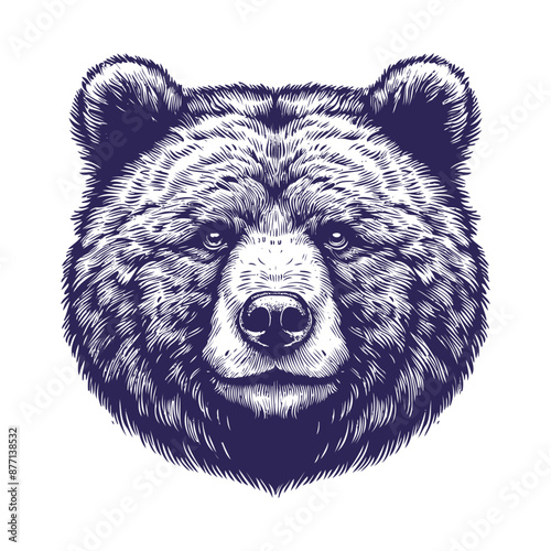 bear vector, bear silhouette