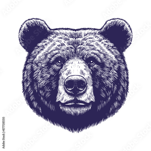 bear vector, bear silhouette