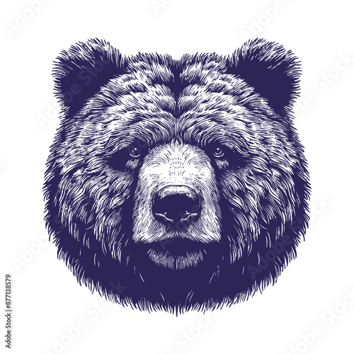 bear vector, bear silhouette