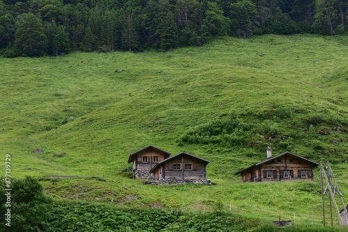 Wooden cabins nestled in a lush green hillside surrounded by dense forest