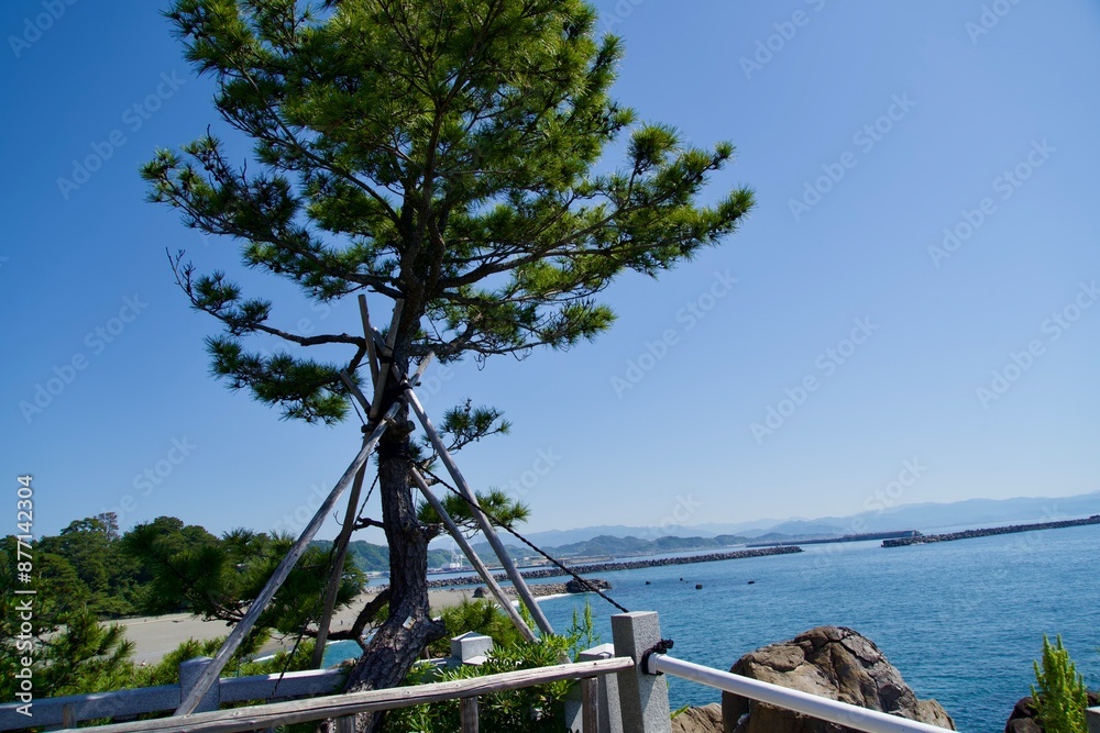 Scenery of Katsurahama Beach and pine trees standing above Cape Ryuo Scenery of Katsurahama Beach and pine trees standing above Cape Ryuo
