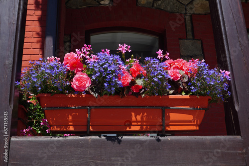 Container with beautiful arrangement of pink and blue flowers on balcony sill