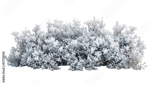 Beautiful Snowy Bush with Frosted Branches, isolated on transparent background