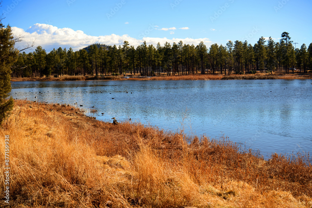 Fototapeta premium Lake of the Woods Arizona
