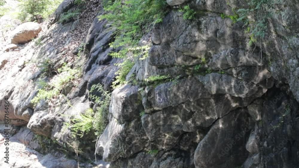 水面に反射した光 水面に反射した光