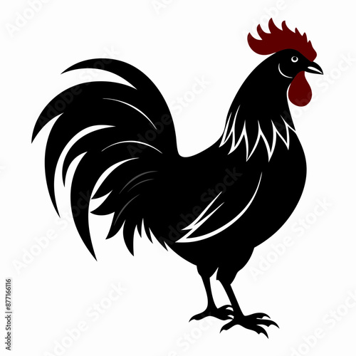 Rooster vector illustration