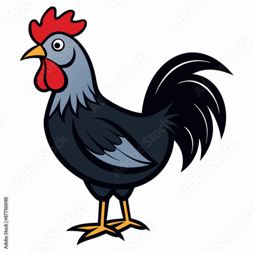 Rooster vector illustration