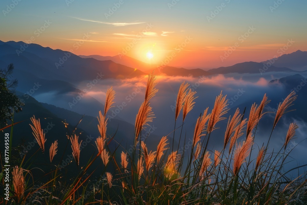 Fototapeta premium Sunrise over Mountain Landscape with Tall Grass