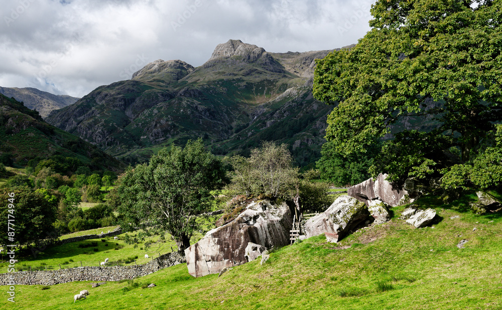 Copt Howe prehistoric cup and ring marked boulders at Chapel Stile. aka Langdale Boulders. Langdale Pikes axe factory site behind. Cumbria, England