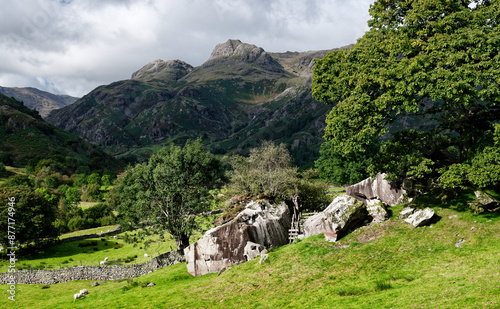 Obraz na płótnie Copt Howe prehistoric cup and ring marked boulders at Chapel Stile. aka Langdale Boulders. Langdale Pikes axe factory site behind. Cumbria, England w salonie
