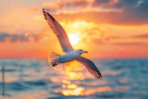 Seagull Soaring Over Ocean at Sunset