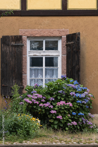 Altes Haus, Holzfenster, dunkle Holzfensterläden, blühende Hortensia vor Haus © Winfried