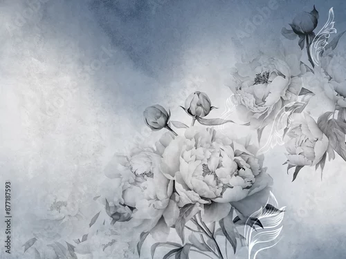 Obraz Beautiful blooming peonies on an abstract ombre background. Mural for wallpaper, poster, card.