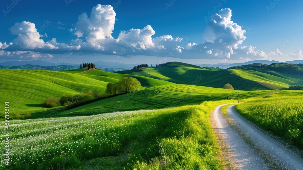 Fototapeta premium Scenic landscape with a winding dirt road through lush green hills under a clear blue sky with dramatic clouds.