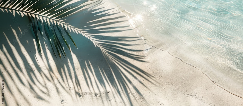 Obraz premium Abstract beach background with a palm leaf shadow on white sand sunlight reflecting on the water surface ideal for a summer vacation copy space image