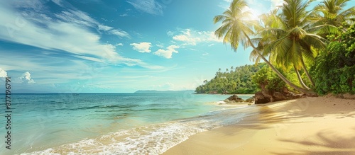 Scenic tropical beach lands...