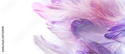 White background adorned wi...