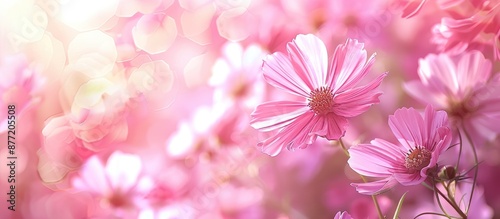 Romantic pink flowers background with color filters creating a beautiful copy space image