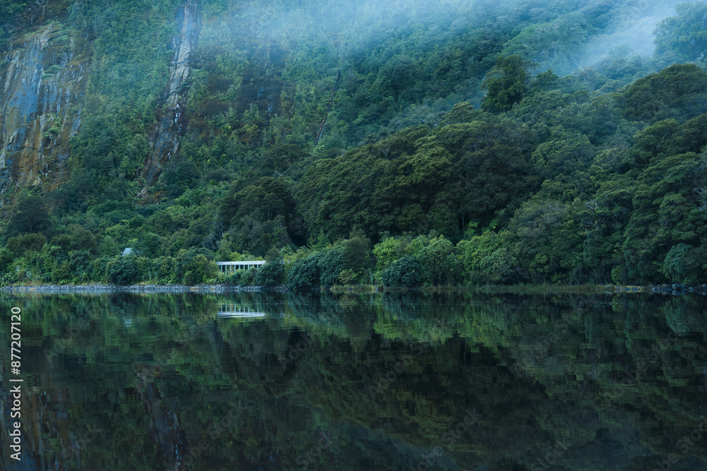 Deep forest with lake and foggy reflection in the morning Deep forest with lake and foggy reflection in the morning