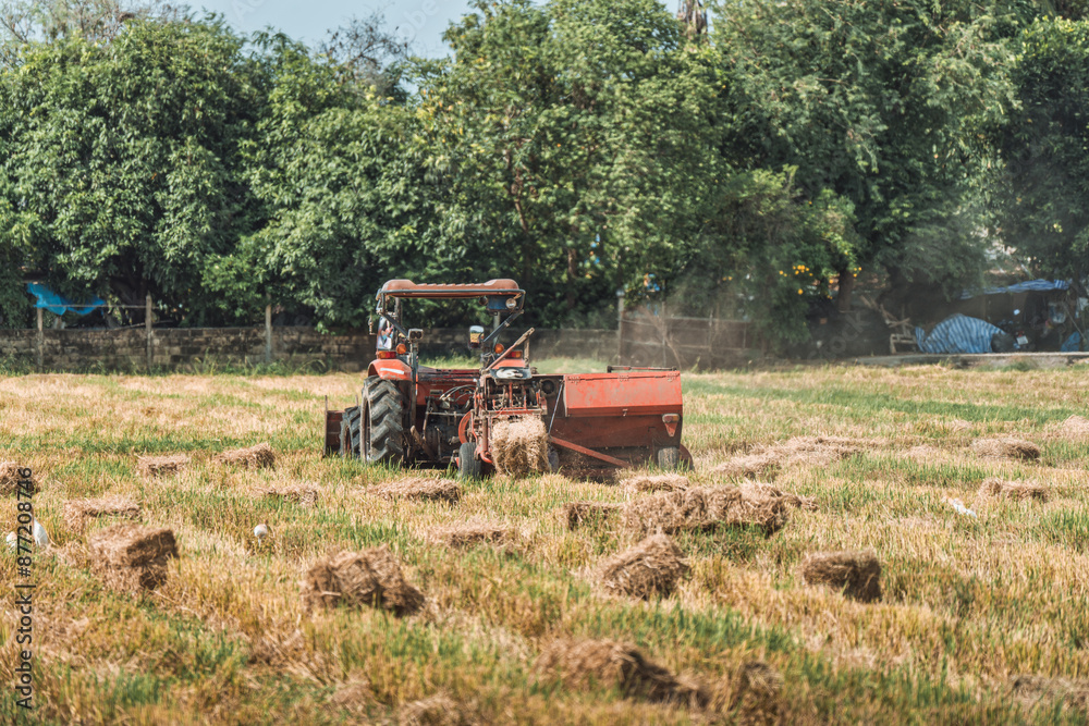 Obraz premium Tractor working on rice filed during harvest season in farmland