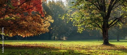 Autumn landscape photograph...
