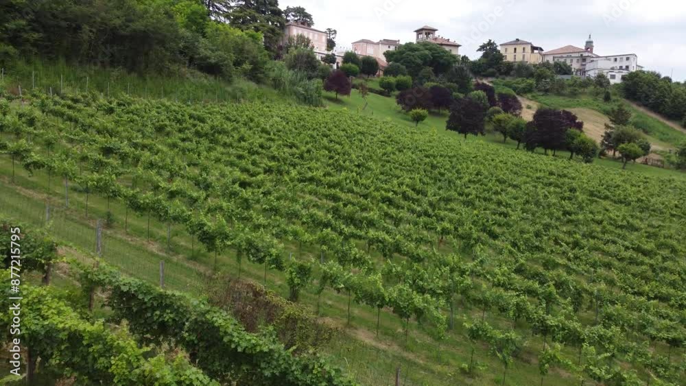 vineyards, Oltrepò Pavese, wine, aerial view, wine region, wine production, vine cultivation, valpolicella, fruit, cultivated, eco tourism, cultivated land, wine, viticulture, field, winery, vineyard vineyards, Oltrepò Pavese, wine, aerial view, wine region, wine production, vine cultivation, valpolicella, fruit, cultivated, eco tourism, cultivated land, wine, viticulture, field, winery, vineyard