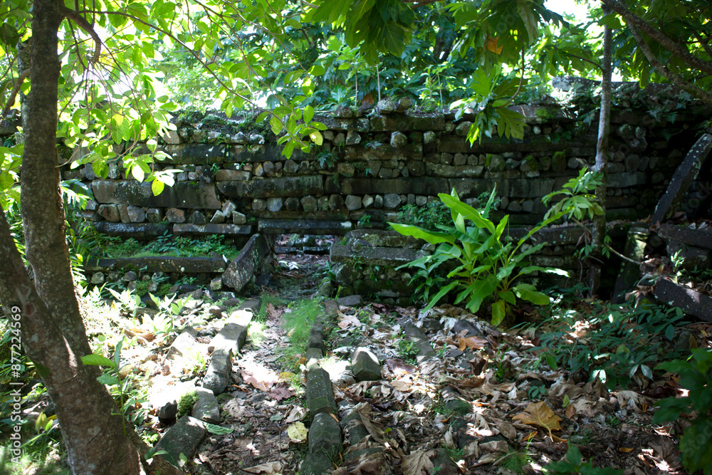 Pohnpei Islands Micronesia Ruins Nan Mandol on a cloudy autumn day Pohnpei Islands Micronesia Ruins Nan Mandol on a cloudy autumn day
