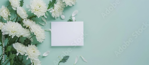 Chrysanthemums and a blank ...