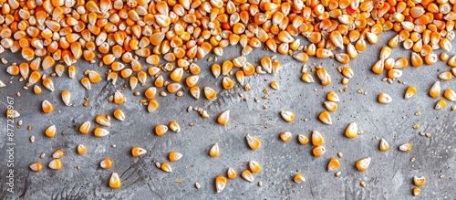 Image of corn kernels arran...