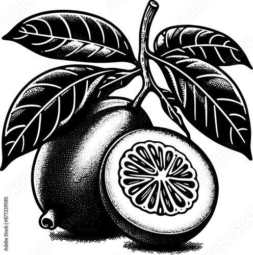 Huito Jagua Fruit icon 13