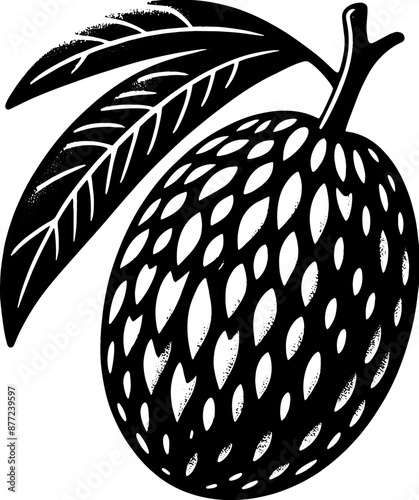 Huito Jagua Fruit icon 10