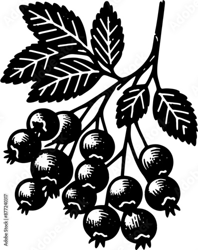Hawthorn Berry Fruit icon 5